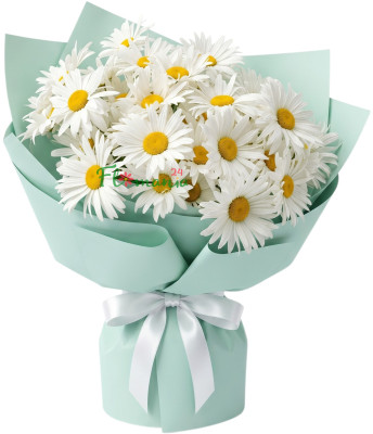 Букет из ромашек «Мятная прохлада»
